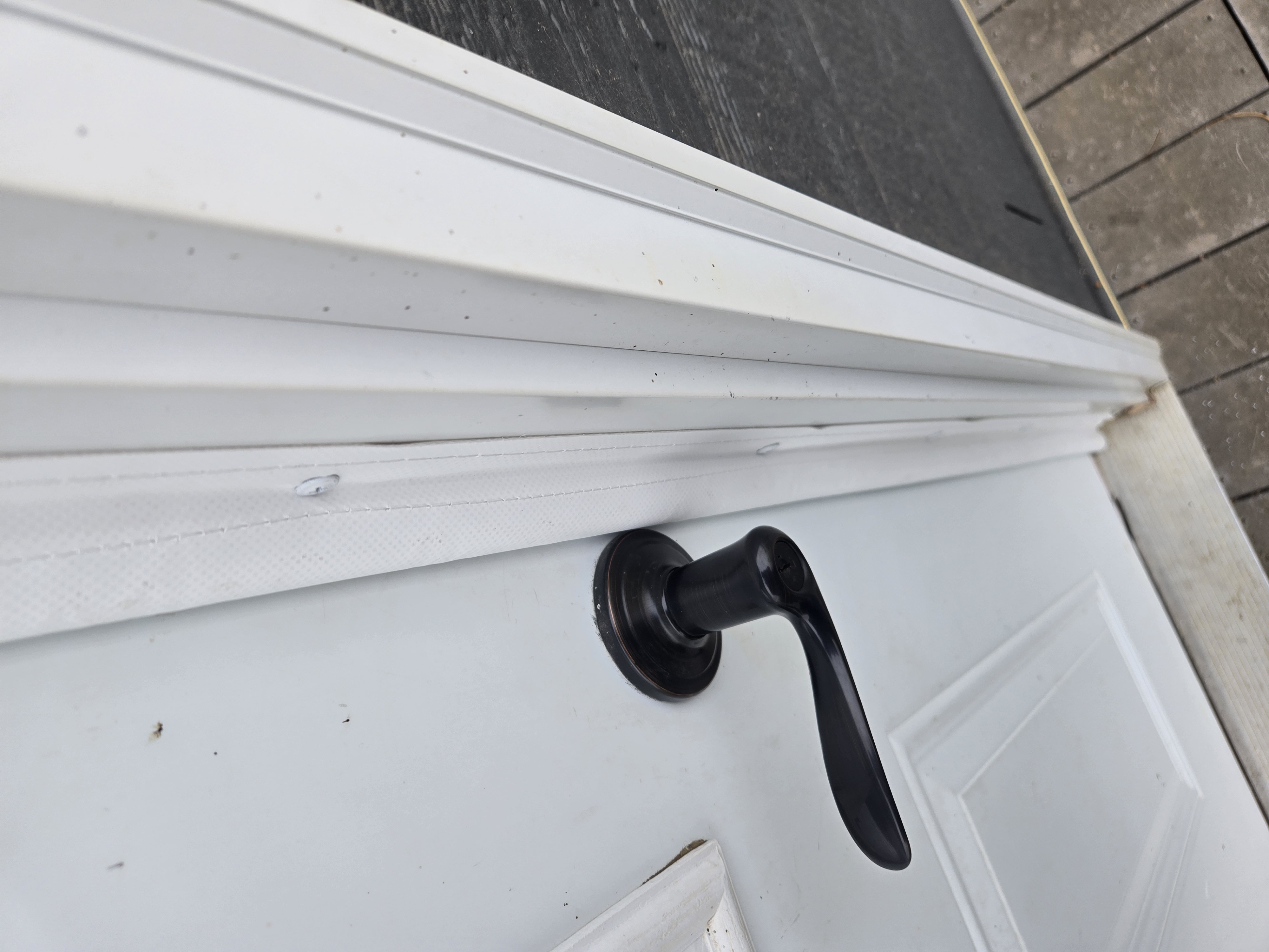 Door edge seal showing door know detail